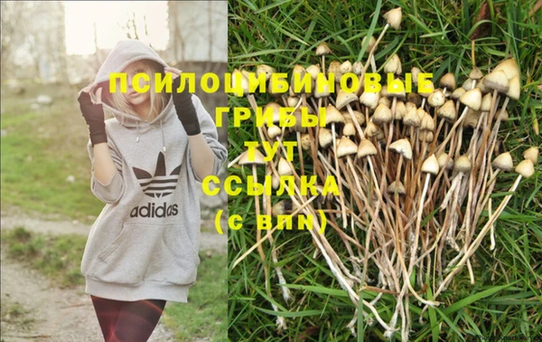 герыч Чекалин