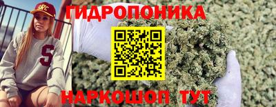 крисы Абинск