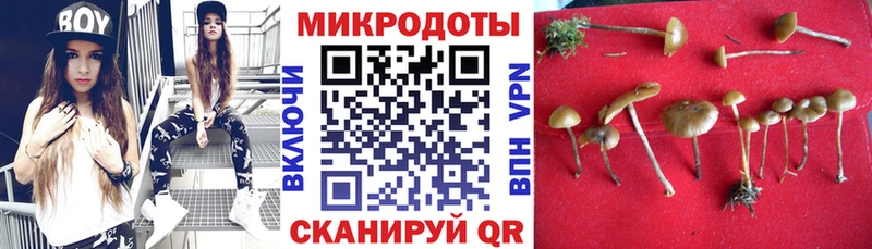 Псилоцибиновые грибы Psilocybe  Алексеевка 