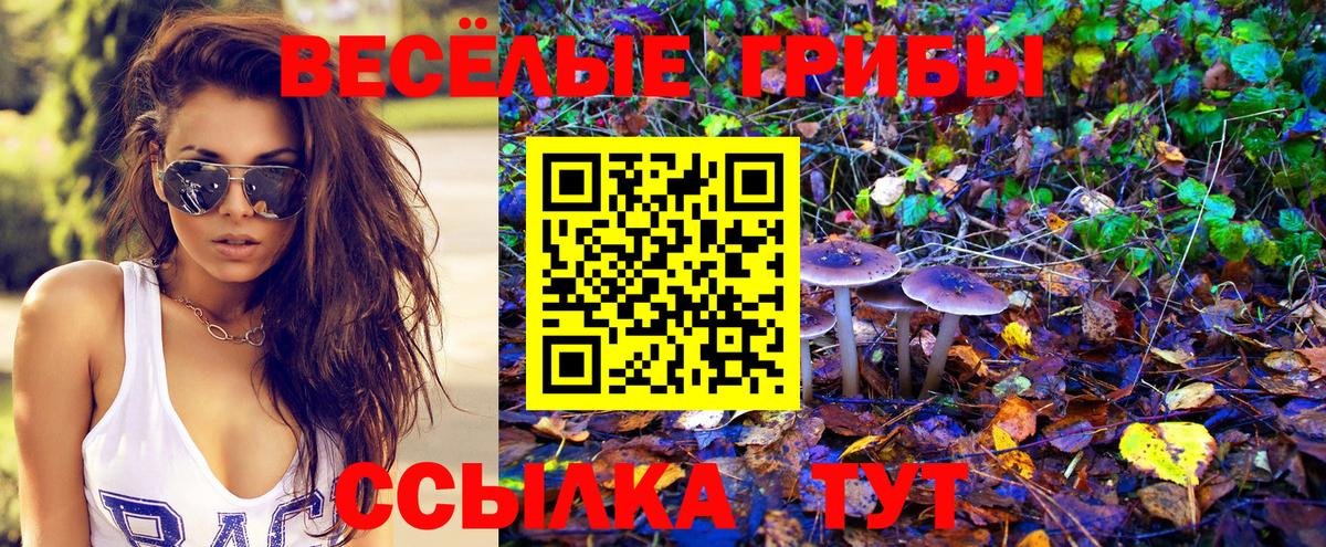 Псилоцибиновые грибы мухоморы  Вход с VPN  Алексеевка 